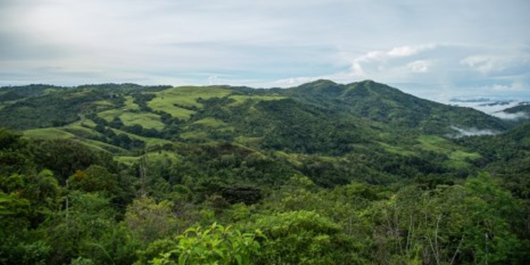 Gobierno de Brasil y la FAO se reúnen en Panamá para mitigar efectos de la sequía en el Corredor Seco Centroamericano