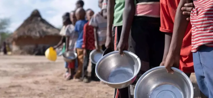 FAO: las cooperativas son un aliado clave en la lucha contra el hambre.